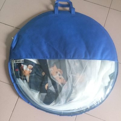 Image_20250211145638