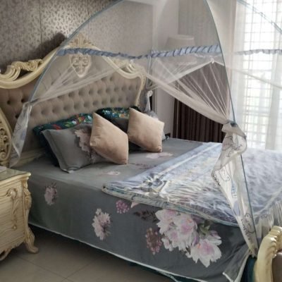 Image_20250211145824